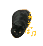 ハッピーREN（個別スタンプ：7）