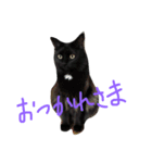 ハッピーREN（個別スタンプ：8）