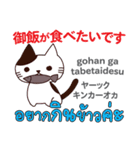 猫の楽しい旅日本語タイ語（個別スタンプ：10）