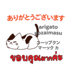 猫の楽しい旅日本語タイ語（個別スタンプ：14）