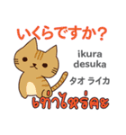 猫の楽しい旅日本語タイ語（個別スタンプ：30）