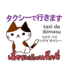 猫の楽しい旅日本語タイ語（個別スタンプ：31）