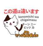 猫の楽しい旅日本語タイ語（個別スタンプ：37）