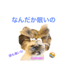 とにかく美人なKUBOMIのスタンプ（個別スタンプ：6）