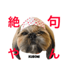 とにかく美人なKUBOMIのスタンプ（個別スタンプ：11）
