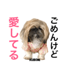 とにかく美人なKUBOMIのスタンプ（個別スタンプ：12）