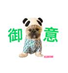 とにかく美人なKUBOMIのスタンプ（個別スタンプ：14）