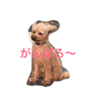 トイプードル コナの日常（個別スタンプ：7）
