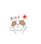 テリアのソラ（個別スタンプ：1）