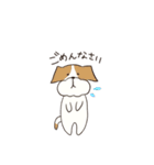 テリアのソラ（個別スタンプ：4）