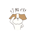 テリアのソラ（個別スタンプ：7）