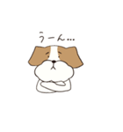 テリアのソラ（個別スタンプ：9）