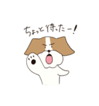 テリアのソラ（個別スタンプ：10）