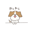 テリアのソラ（個別スタンプ：15）