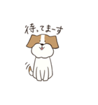 テリアのソラ（個別スタンプ：16）