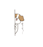 テリアのソラ（個別スタンプ：19）