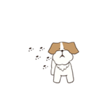 テリアのソラ（個別スタンプ：20）