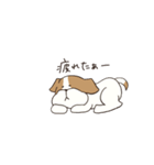 テリアのソラ（個別スタンプ：22）