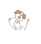 テリアのソラ（個別スタンプ：24）