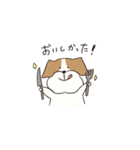 テリアのソラ（個別スタンプ：32）