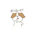 テリアのソラ（個別スタンプ：33）