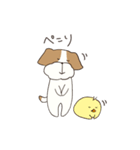 テリアのソラ（個別スタンプ：34）