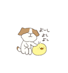 テリアのソラ（個別スタンプ：35）