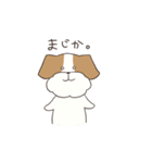 テリアのソラ（個別スタンプ：38）