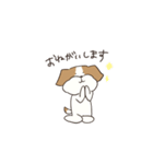 テリアのソラ（個別スタンプ：39）