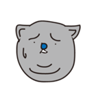 cat bear whatever（個別スタンプ：3）