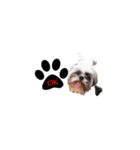 DMoji（個別スタンプ：1）