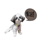 DMoji（個別スタンプ：2）