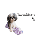DMoji（個別スタンプ：3）
