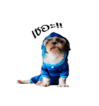 DMoji（個別スタンプ：4）