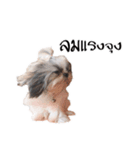 DMoji（個別スタンプ：5）