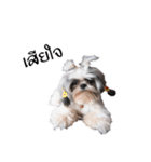 DMoji（個別スタンプ：6）
