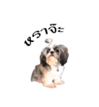 DMoji（個別スタンプ：7）