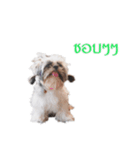 DMoji（個別スタンプ：8）
