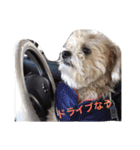 我が家のお犬様たち（個別スタンプ：23）