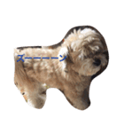 我が家のお犬様たち（個別スタンプ：30）