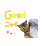 あおひな。（個別スタンプ：5）