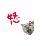 あおひな。（個別スタンプ：15）