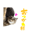 あおひな。（個別スタンプ：30）