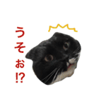 チビルのスタンプ2（個別スタンプ：21）