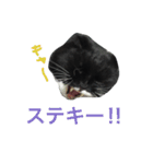 チビルのスタンプ2（個別スタンプ：23）