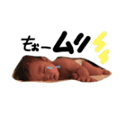 riochan sticker（個別スタンプ：7）