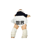 我が家のアイドル♡EMA（個別スタンプ：7）