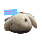 うたぎさん（個別スタンプ：1）