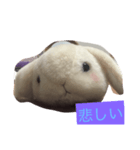 うたぎさん（個別スタンプ：2）