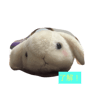 うたぎさん（個別スタンプ：3）